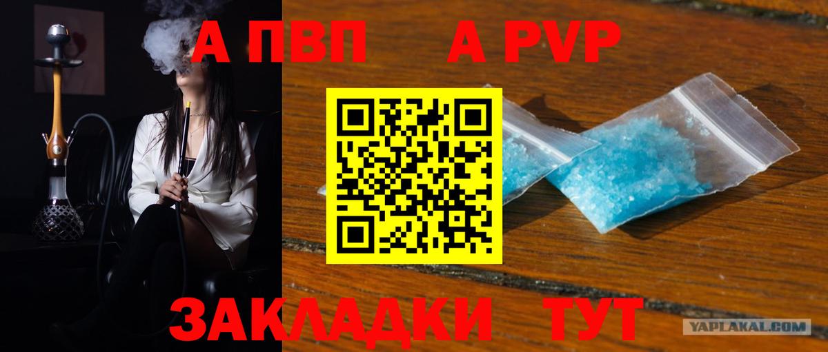 A PVP крисы CK Великий Новгород