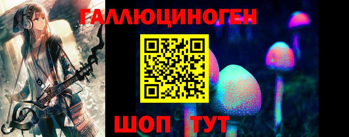 Великий Новгород  Псилоцибиновые грибы Psilocybe  Вход с VPN  Галлюциногенные грибы прущие грибы 