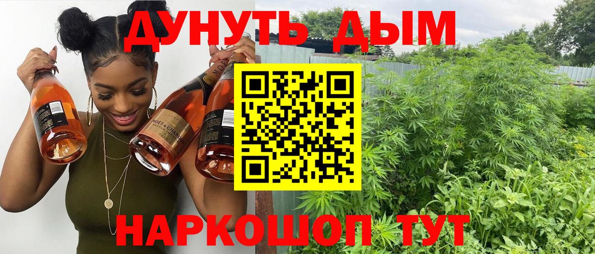 Марихуана LSD WEED  Вход с VPN  Великий Новгород  Каннабис марихуана 